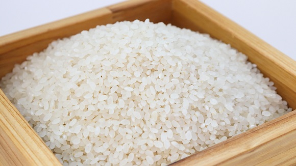 rice0.jpg
